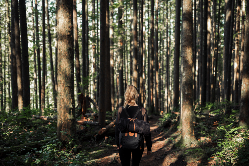 Что такое forest bathing и зачем он нужен